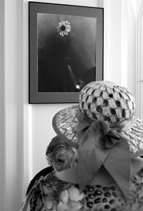 Персональная фотовыставка Владимира Вяткина "Энергия прекрасного". Витебск, Художественный музей.