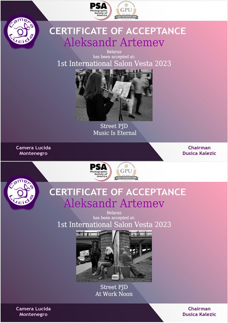 Aleksandr Artemev. Photographic awards. 1st International Salon Vesta (PSA 2023- 85, GPU L230022)
