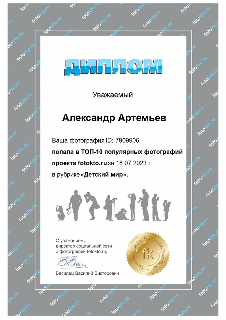 Aleksandr Artemev. Photographic awards. На баскетболе_18.07.2023