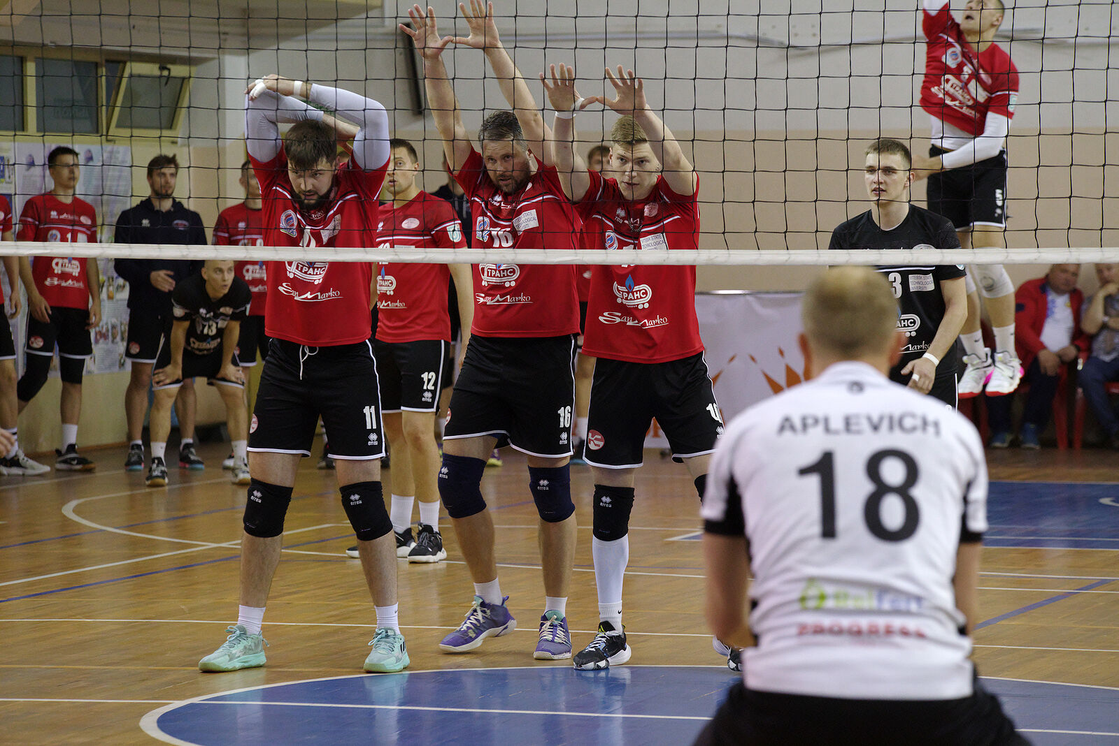 Волейбол спорт баскетбол