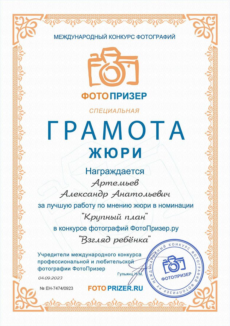 Aleksandr Artemev. Photographic awards. Алёнушка