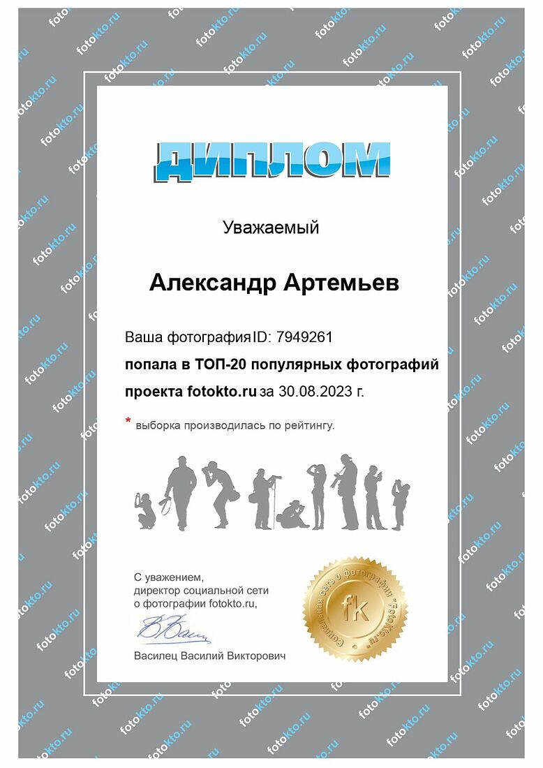 Aleksandr Artemev. Photographic awards. Breakthrough