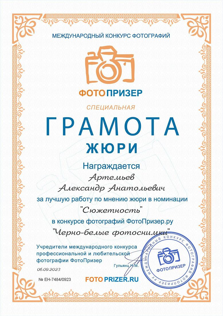 Aleksandr Artemev. Photographic awards. Истинная свобода