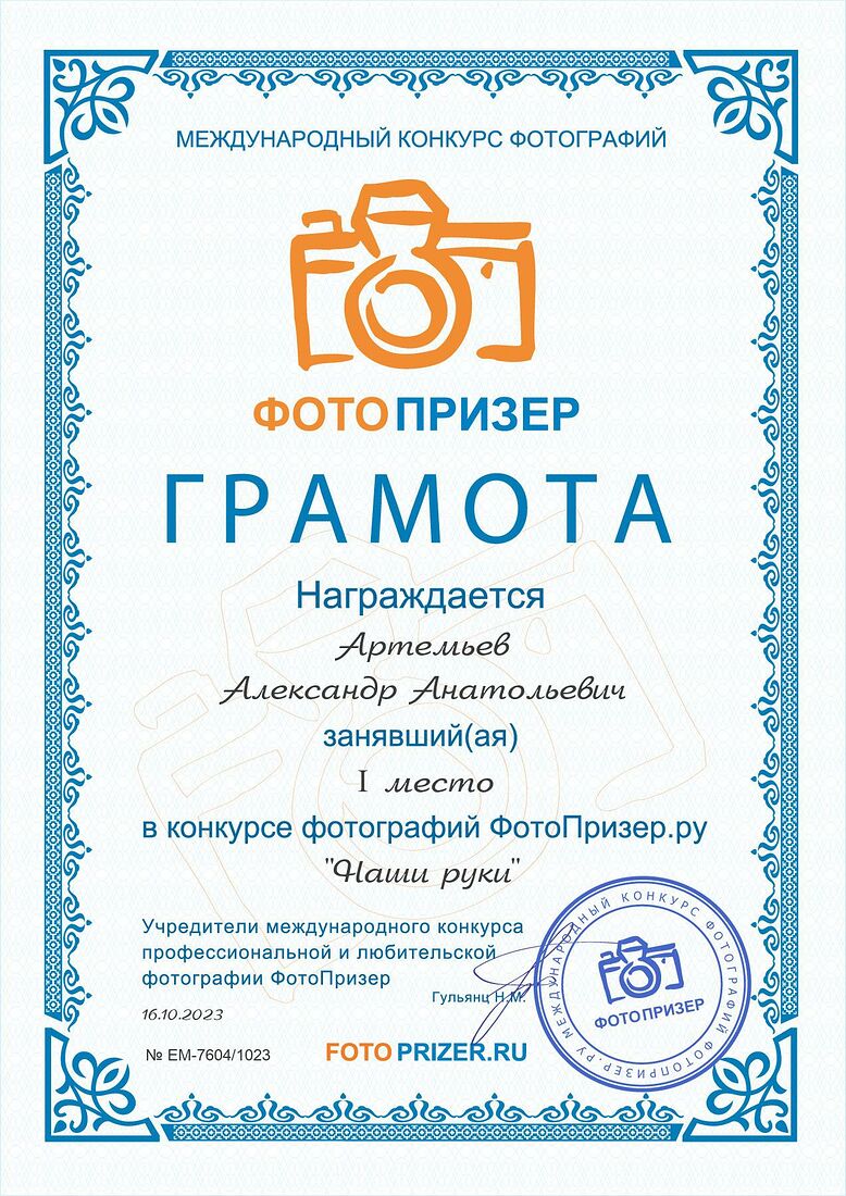 Aleksandr Artemev. Photographic awards. The time of the main impact