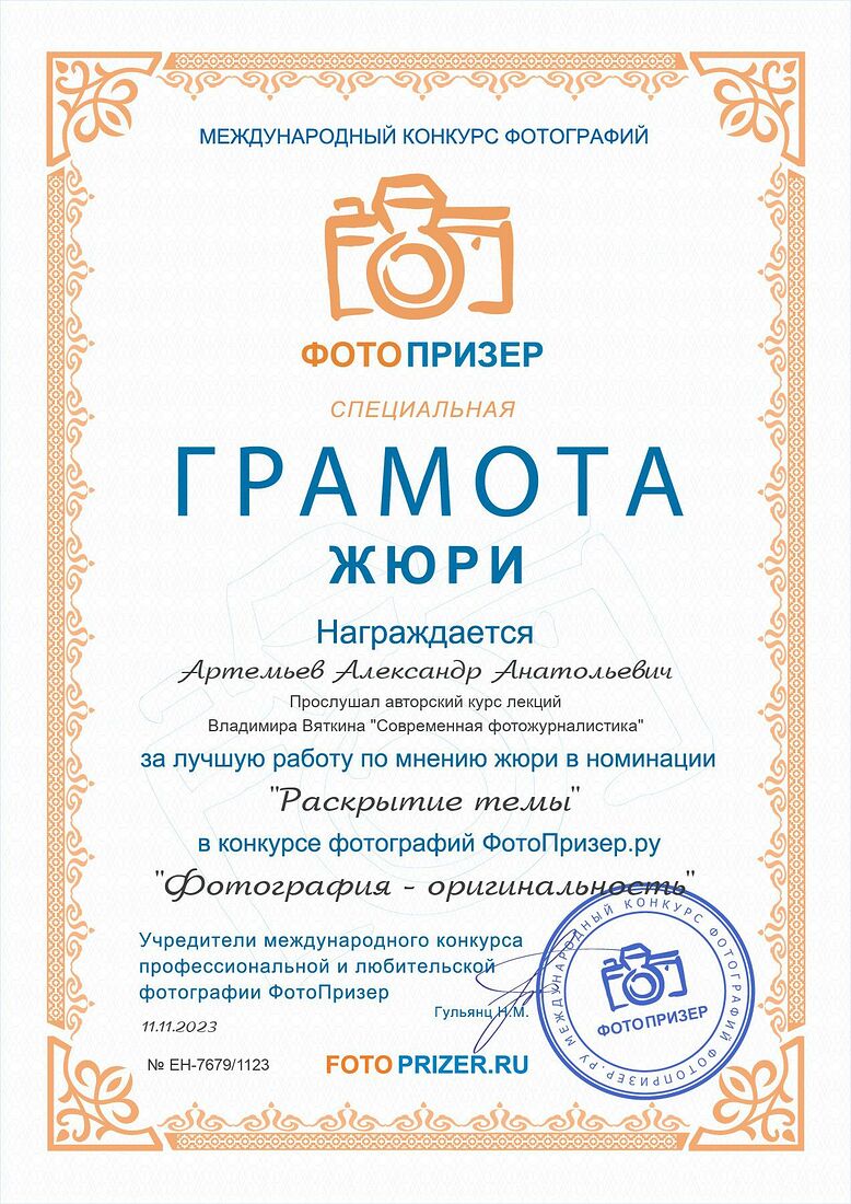 Aleksandr Artemev. Photographic awards. Untitled